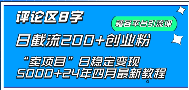 抖音评论区8字日截流200+创业粉 “卖项目”日稳定变现5000+【揭秘】-成可创学网