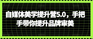 自媒体美学提升营5.0,手把手带你提升品牌审美-成可创学网
