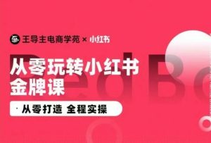 王导主·小红书电商运营实操课,从零打造 全程实操-成可创学网