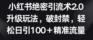 小红书绝密引流术2.0升级玩法,破封禁,轻松日引100+精准流量【揭秘】-成可创学网