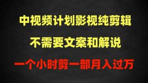 中视频计划影视纯剪辑,不需要文案和解说,一个小时剪一部,100%过原创月入过万【揭秘】-成可创学网