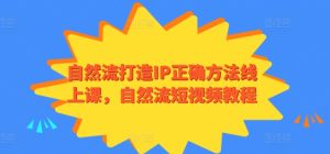自然流打造IP正确方法线上课,自然流短视频教程-成可创学网