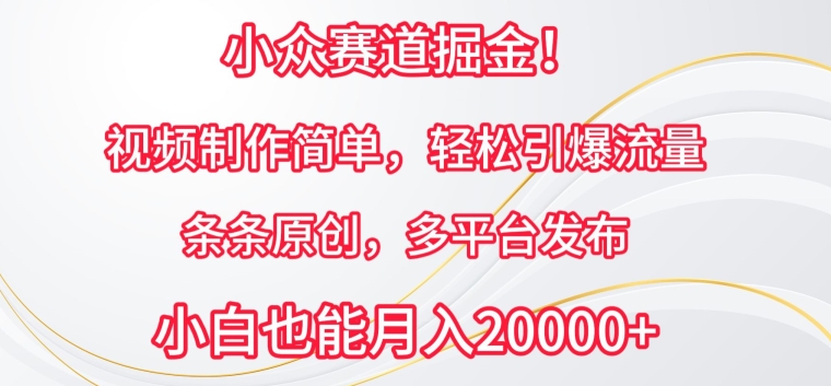 小众赛道掘金，视频制作简单，轻松引爆流量，条条原创，多平台发布【揭秘】-成可创学网