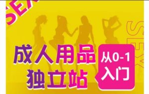 成人用品独立站从0-1入门，成品独立站运营全流程教学，七大好卖成品独立站推荐-成可创学网