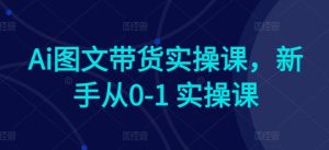 Ai图文带货实操课,新手从0-1 实操课-成可创学网
