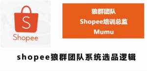 shopee狼群团队:shopee虾皮全套课程(附相关文件)无水印版-成可创学网