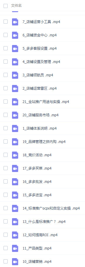 图片[2]-零基础入门拼多多，​21节课程让你快速入局，萌新也能很快学会-成可创学网