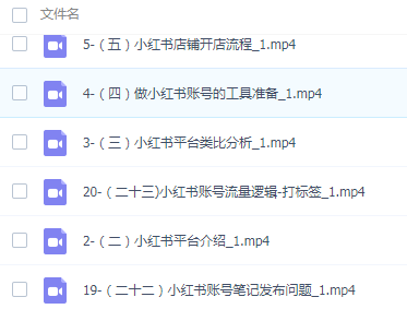 图片[2]-小红书开店进阶课：零基础走向专业，起号+开店+流程+爆款笔记等等（20节）-成可创学网