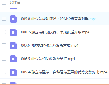 图片[2]-独立站系统课，零基础系统化入门，萌新跨境电商教学（十一节课）-成可创学网