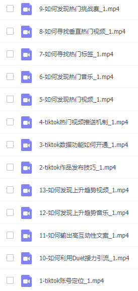 图片[2]-国际版Tiktok运营流量训练营：账号定位+发作品+上热门等教学-十三节-成可创学网