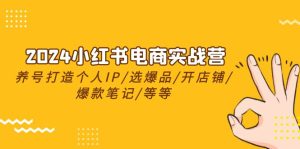 2024年最新小红书电商实战训练营,传授养号打造IP秘诀+选爆品技巧+开店铺流程+爆款笔记的打造方法等(24节)-成可创学网