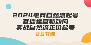 今年最新电商自然流起号,直播运营新动向,实战自然流正价起号-二十五节课-成可创学网