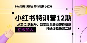 小红书系统课12期:从定位到起号、到变现全流程让你成为小红书高手!-成可创学网