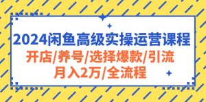 今年最热门闲鱼高级实操运营教学：开店+养号+选爆款+引流全过程，最短的时间让你精通闲鱼运营-成可创学网