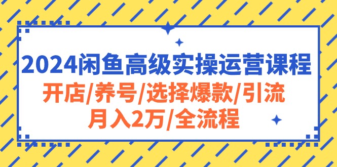今年最热门闲鱼高级实操运营教学：开店+养号+选爆款+引流全过程，最短的时间让你精通闲鱼运营-成可创学网