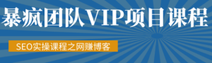 暴疯团队VIP赚钱项目教程之(SEO实操课程之网赚博客)-成可创学网