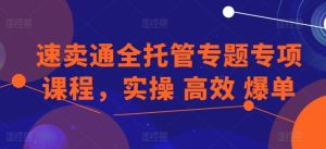 速卖通全托管专题专项课程,实操 高效 爆单-成可创学网
