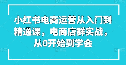 小红书电商运营从入门到精通课，电商店群实战，从0开始到学会-成可创学网