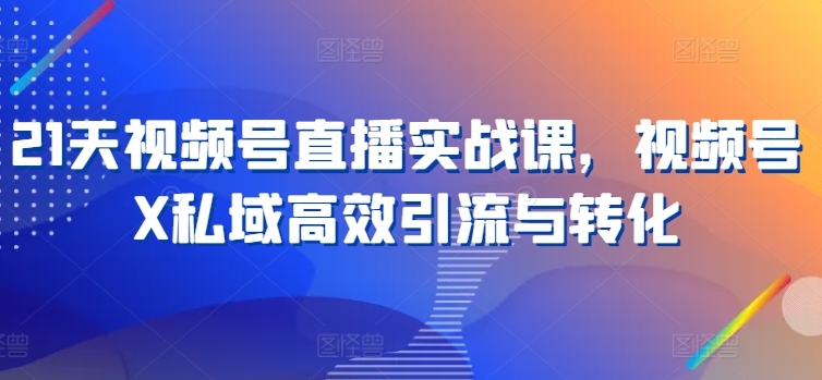 21天视频号直播实战课，视频号X私域高效引流与转化-成可创学网