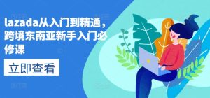 lazada从入门到精通,跨境东南亚新手入门必修课-成可创学网