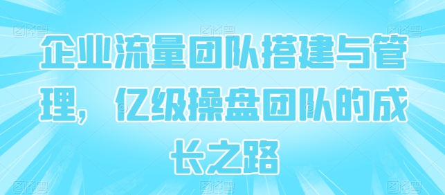 企业流量团队搭建与管理，亿级操盘团队的成长之路-成可创学网