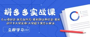 拼多多实战课:万人团玩法/截流自然流/最新强付费打法/最新原价卡大促..-成可创学网