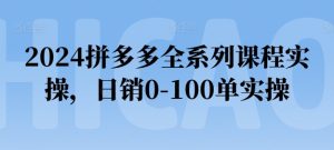 2024拼多多全系列课程实操,日销0-100单实操【必看】-成可创学网