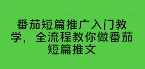 番茄短篇推广入门教学,全流程教你做番茄短篇推文-成可创学网