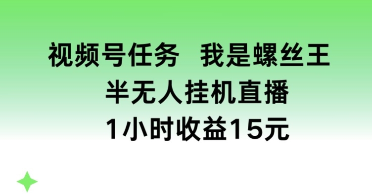 视频号任务，我是螺丝王， 半无人挂机1小时收益15元【揭秘】-成可创学网