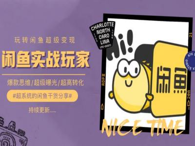 手把手教你0到1系统玩转闲鱼变现，爆款思维/超级曝光/超高转化-成可创学网
