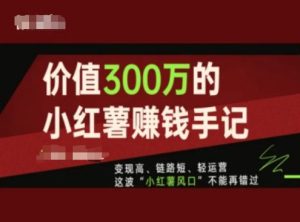 价值300万的小红书赚钱手记,变现高、链路短、轻运营,这波“小红薯风口”不能再错过-成可创学网