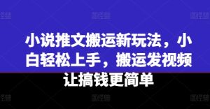 小说推文搬运新玩法，小白轻松上手，搬运发视频让搞钱更简单-成可创学网