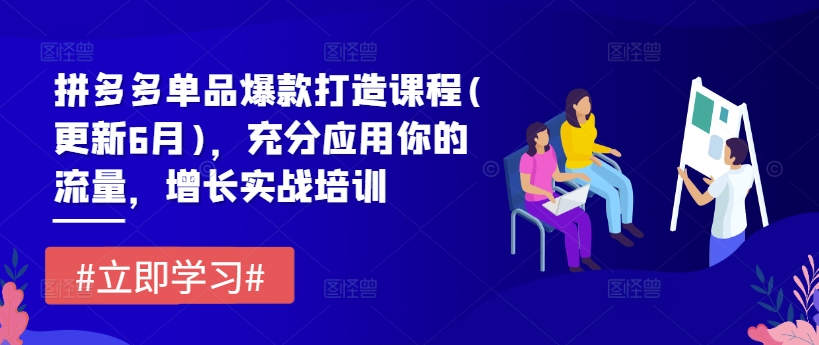 拼多多单品爆款打造课程(更新6月)，充分应用你的流量，增长实战培训-成可创学网