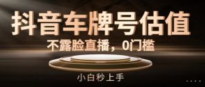 抖音车牌号估值,不露脸直播,0门槛,小白秒上手【揭秘】-成可创学网
