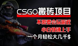 CSGO 装备搬砖项目,操作简单,不需要会玩游戏,小白也能快速上手,一个月轻松大几千【揭秘】-成可创学网