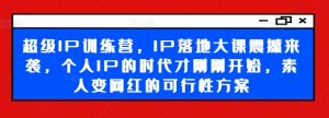 超级IP训练营,IP落地大课震撼来袭,个人IP的时代才刚刚开始,素人变网红的可行性方案-成可创学网