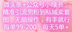 微头条+公众号小绿书,精准引流男粉到私域卖套图,无脑操作,有手就行,每单99-200,每天5单-成可创学网