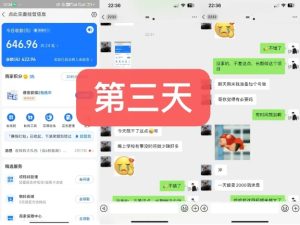 货币掘金项目,3天卖了2720!新项目内测组【限10人】-成可创学网