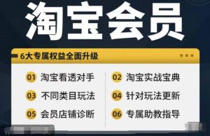淘宝会员【淘宝所有课程,全面分析对手】,初级到高手全系实战宝典-成可创学网