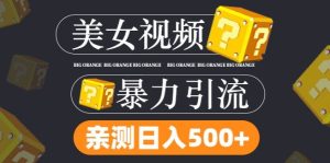 搬运tk美女视频全网分发,日引s粉300+,轻松变现,不限流量不封号【揭秘】-成可创学网