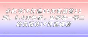 小红书IP打造60天实战营11期，5.0大升级，全网独一无二的自媒体IP打造课程-成可创学网