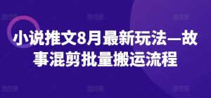 小说推文8月最新玩法—故事混剪批量搬运流程-成可创学网