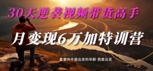 30天逆袭视频带货高手，单月变现6万加特训营-麦子甜-成可创学网