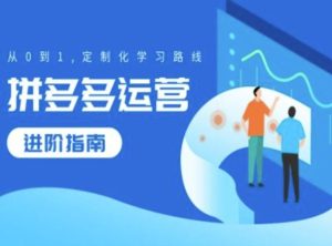 拼多多运营进阶指南,从0到1定制化学习路线-成可创学网