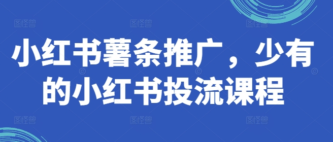 小红书薯条推广，少有的小红书投流课程-成可创学网