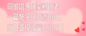 同城搭子相亲新玩法一篇帖子引流80人当日变现3600元(项目教程+实操教程)【揭秘】-成可创学网