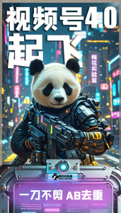 梅花实验窒微信视频号连怼玩法技巧起飞4.0一键AB破解版【揭秘】-成可创学网