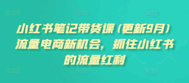 小红书笔记带货课(更新9月)流量电商新机会，抓住小红书的流量红利-成可创学网