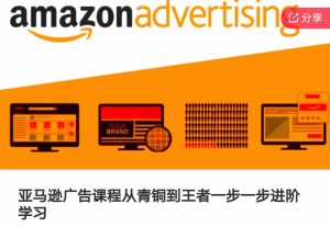 亚马逊广告课程,从青铜到王者一步一步进阶学习(更新9月)-成可创学网