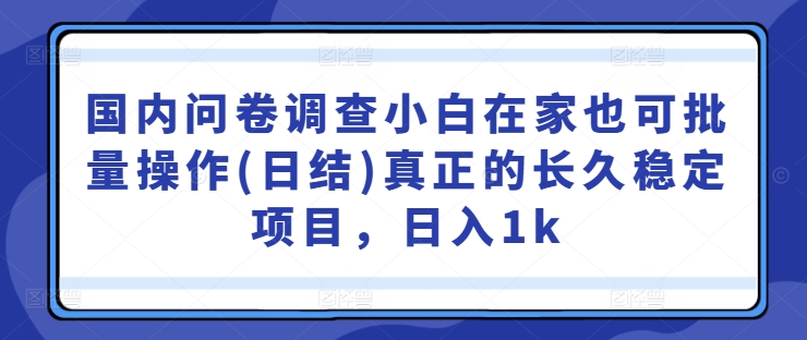 国内问卷调查小白在家也可批量操作(日结)真正的长久稳定项目，日入1k【揭秘】-成可创学网